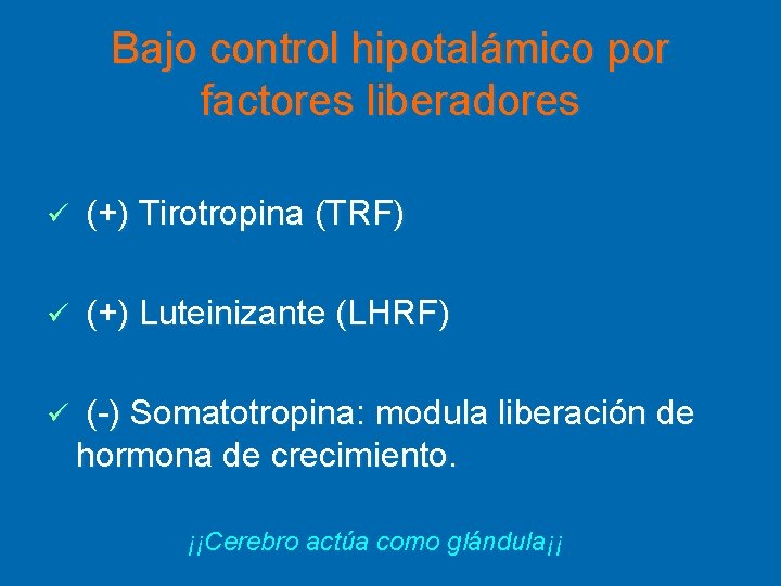 Bajo control hipotalámico por factores liberadores ü (+) Tirotropina (TRF) ü (+) Luteinizante (LHRF)