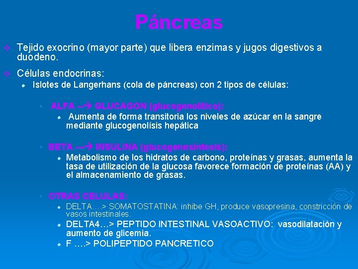 Páncreas v Tejido exocrino (mayor parte) que libera enzimas y jugos digestivos a duodeno.