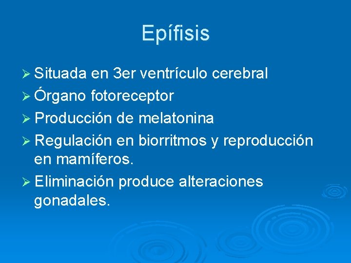 Epífisis Ø Situada en 3 er ventrículo cerebral Ø Órgano fotoreceptor Ø Producción de