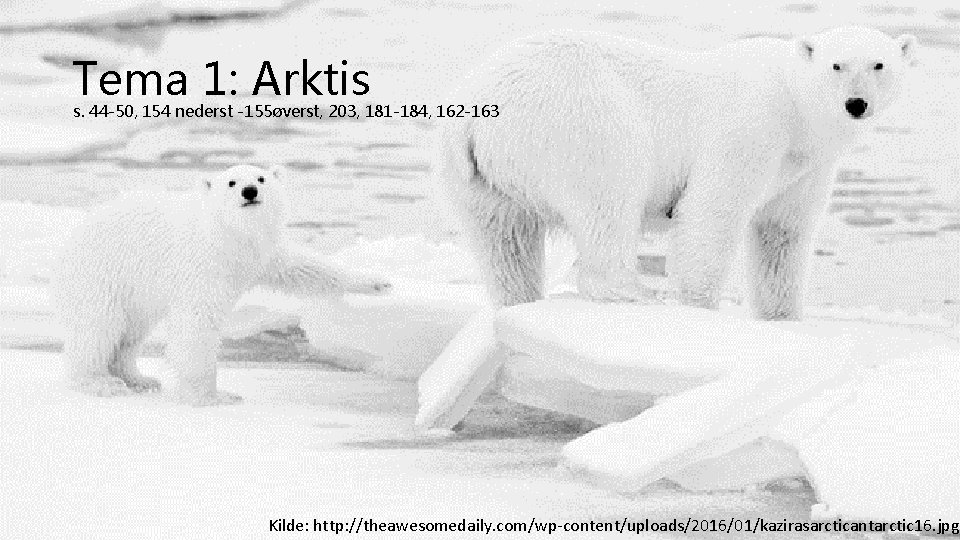 Tema 1: Arktis s. 44 -50, 154 nederst -155øverst, 203, 181 -184, 162 -163