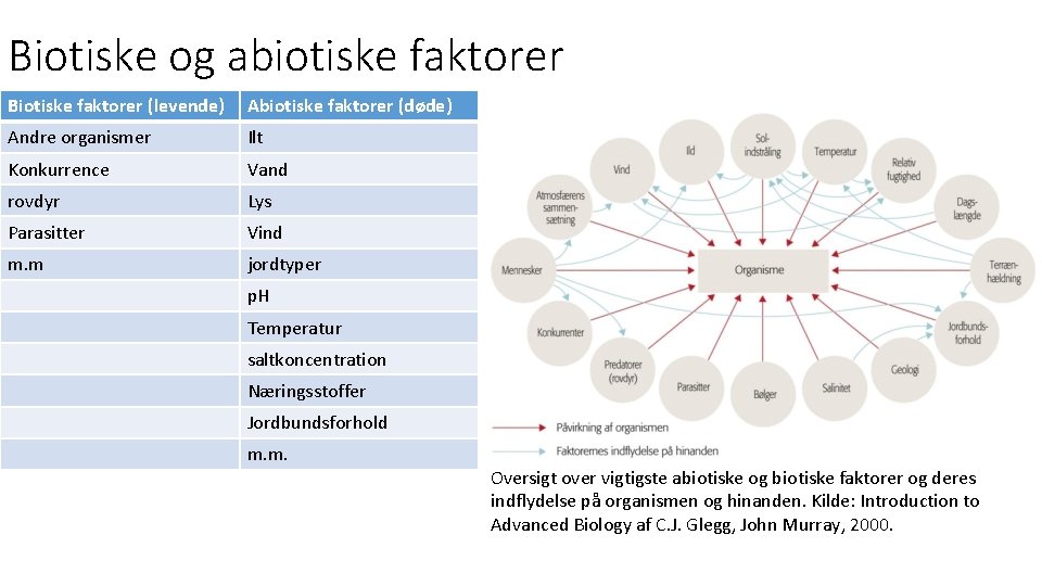 Biotiske og abiotiske faktorer Biotiske faktorer (levende) Abiotiske faktorer (døde) Andre organismer Ilt Konkurrence
