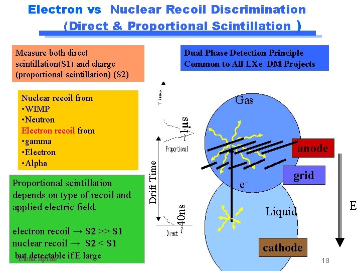 Electron vs Nuclear Recoil Discrimination (Direct & Proportional Scintillation ) Measure both direct scintillation(S Electron vs Nuclear Recoil Discrimination (Direct & Proportional Scintillation ) Measure both direct scintillation(S