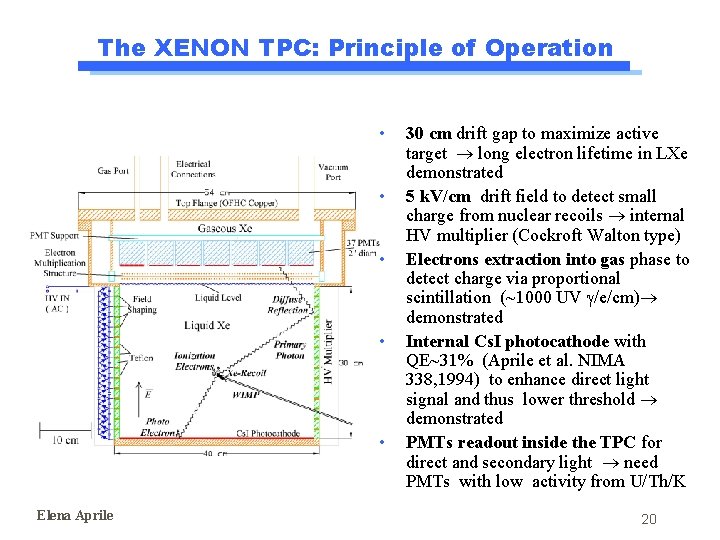 The XENON TPC: Principle of Operation • • • Elena Aprile 30 cm drift The XENON TPC: Principle of Operation • • • Elena Aprile 30 cm drift