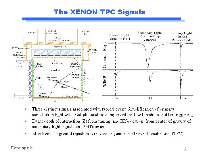 The XENON TPC Signals • • • Three distinct signals associated with typical event. The XENON TPC Signals • • • Three distinct signals associated with typical event.