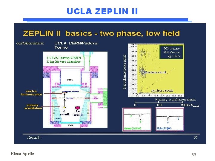 UCLA ZEPLIN II Elena Aprile 39 UCLA ZEPLIN II Elena Aprile 39
