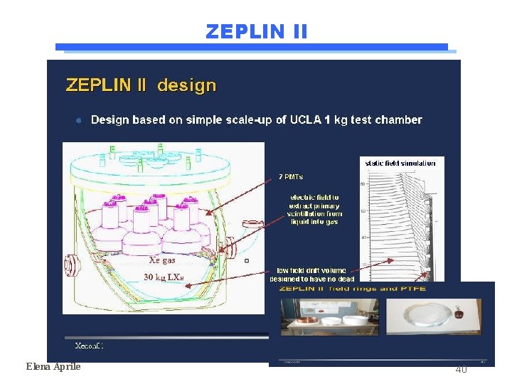 ZEPLIN II Elena Aprile 40 ZEPLIN II Elena Aprile 40