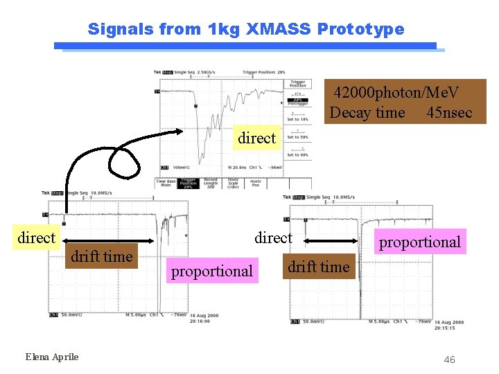 Signals from 1 kg XMASS Prototype 42000 photon/Me. V Decay time 45 nsec direct Signals from 1 kg XMASS Prototype 42000 photon/Me. V Decay time 45 nsec direct