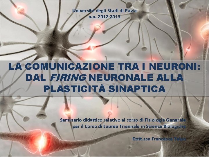 Università degli Studi di Pavia a. a. 2012 -2013 LA COMUNICAZIONE TRA I NEURONI: