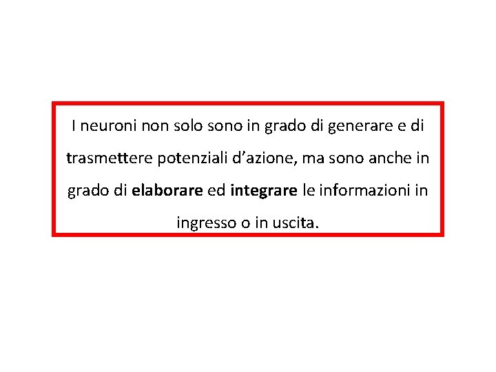 I neuroni non solo sono in grado di generare e di trasmettere potenziali d’azione,