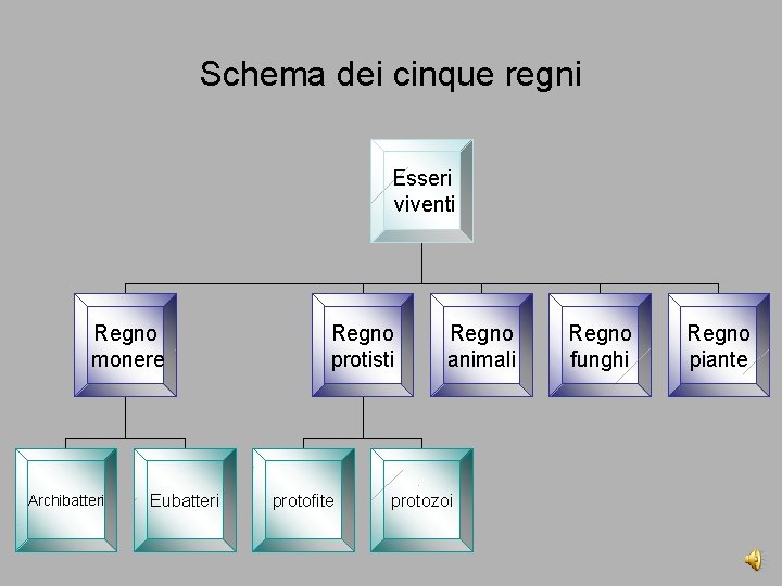 Schema dei cinque regni Esseri viventi Regno monere Archibatteri Eubatteri Regno protisti protofite Regno