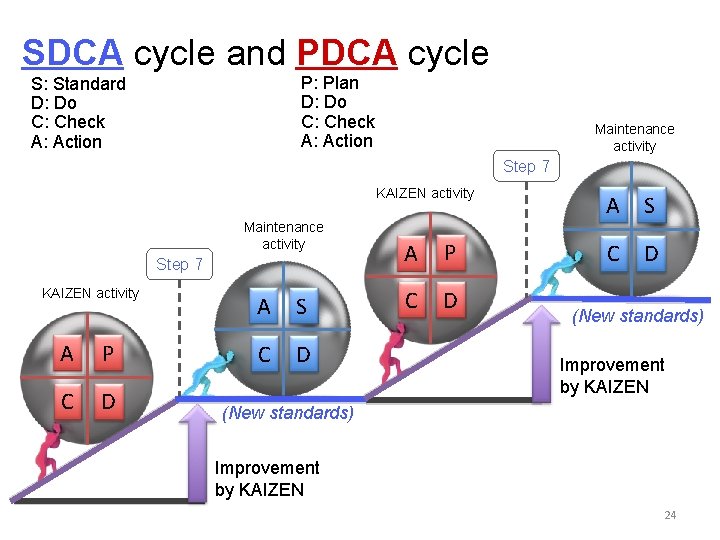 SDCA cycle and PDCA cycle P: Plan D: Do C: Check A: Action S: