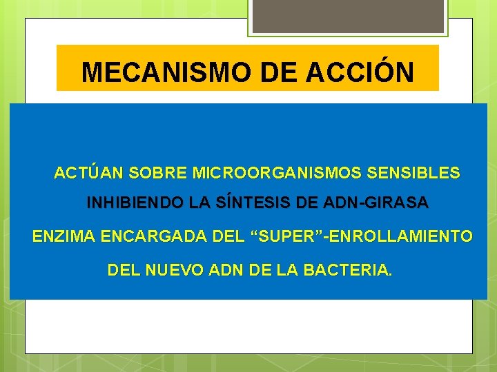 MECANISMO DE ACCIÓN ACTÚAN SOBRE MICROORGANISMOS SENSIBLES INHIBIENDO LA SÍNTESIS DE ADN-GIRASA ENZIMA ENCARGADA