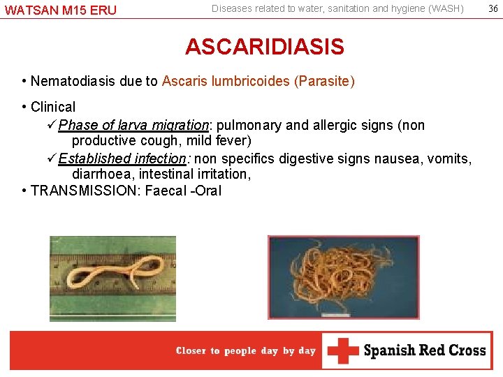 WATSAN M 15 ERU Diseases related to water, sanitation and hygiene (WASH) ASCARIDIASIS •