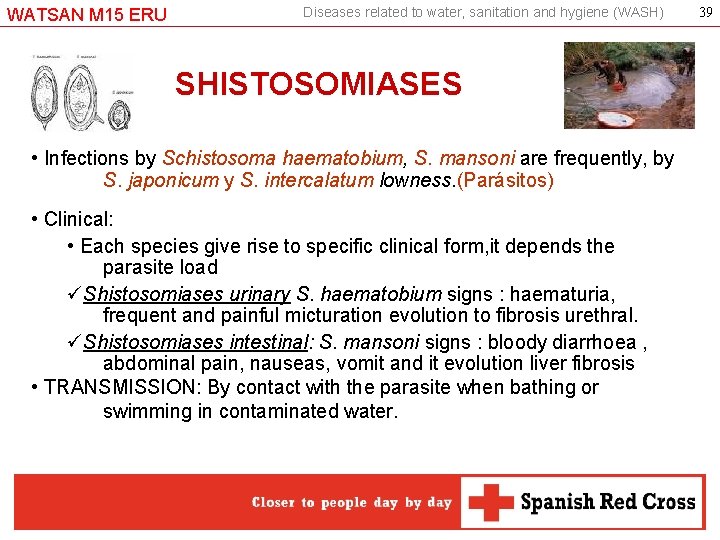 WATSAN M 15 ERU Diseases related to water, sanitation and hygiene (WASH) SHISTOSOMIASES •