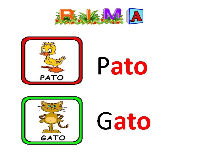 Pato Gato 