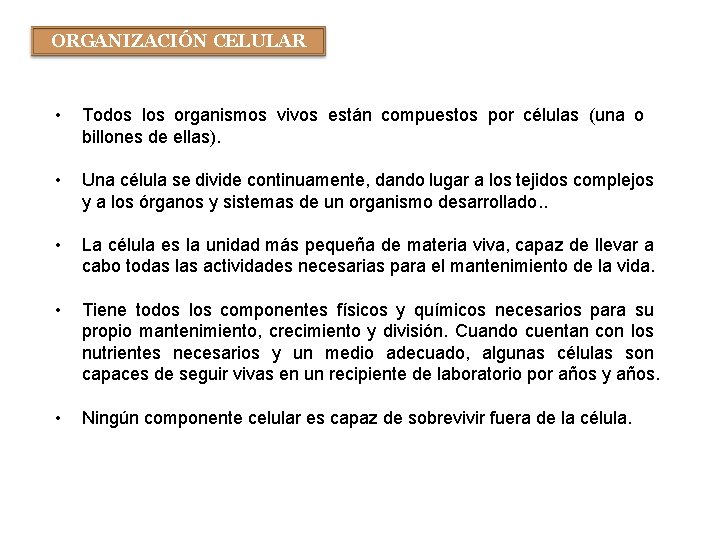 ORGANIZACIÓN CELULAR • Todos los organismos vivos están compuestos por células (una o billones ORGANIZACIÓN CELULAR • Todos los organismos vivos están compuestos por células (una o billones