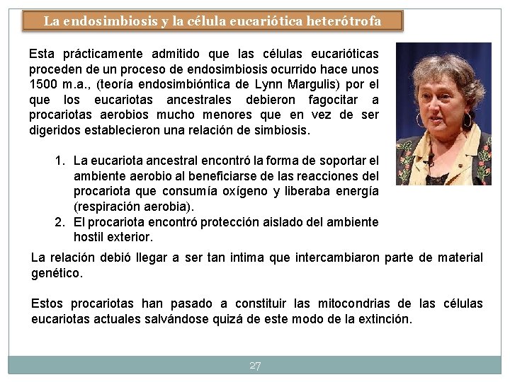 La endosimbiosis y la célula eucariótica heterótrofa Esta prácticamente admitido que las células eucarióticas La endosimbiosis y la célula eucariótica heterótrofa Esta prácticamente admitido que las células eucarióticas