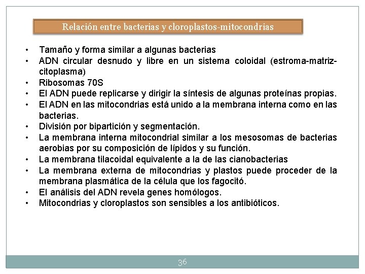 Relación entre bacterias y cloroplastos-mitocondrias • • • Tamaño y forma similar a algunas Relación entre bacterias y cloroplastos-mitocondrias • • • Tamaño y forma similar a algunas