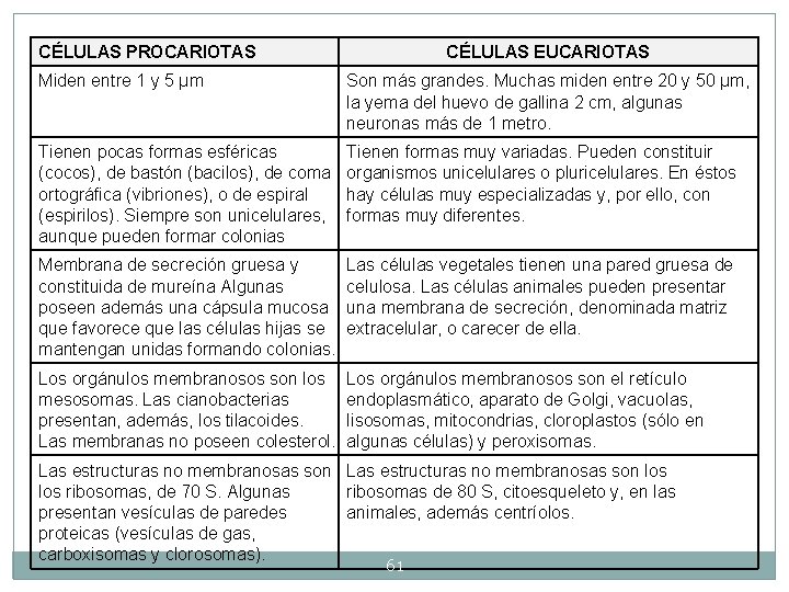CÉLULAS PROCARIOTAS CÉLULAS EUCARIOTAS Miden entre 1 y 5 µm Son más grandes. Muchas CÉLULAS PROCARIOTAS CÉLULAS EUCARIOTAS Miden entre 1 y 5 µm Son más grandes. Muchas