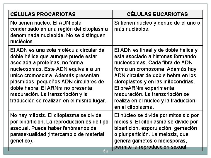 CÉLULAS PROCARIOTAS CÉLULAS EUCARIOTAS No tienen núcleo. El ADN está condensado en una región CÉLULAS PROCARIOTAS CÉLULAS EUCARIOTAS No tienen núcleo. El ADN está condensado en una región