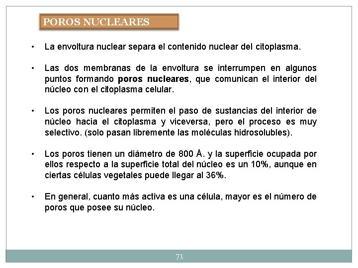 POROS NUCLEARES • La envoltura nuclear separa el contenido nuclear del citoplasma. • Las POROS NUCLEARES • La envoltura nuclear separa el contenido nuclear del citoplasma. • Las