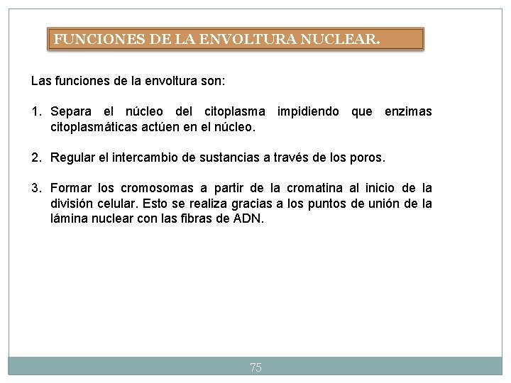 FUNCIONES DE LA ENVOLTURA NUCLEAR. Las funciones de la envoltura son: 1. Separa el FUNCIONES DE LA ENVOLTURA NUCLEAR. Las funciones de la envoltura son: 1. Separa el