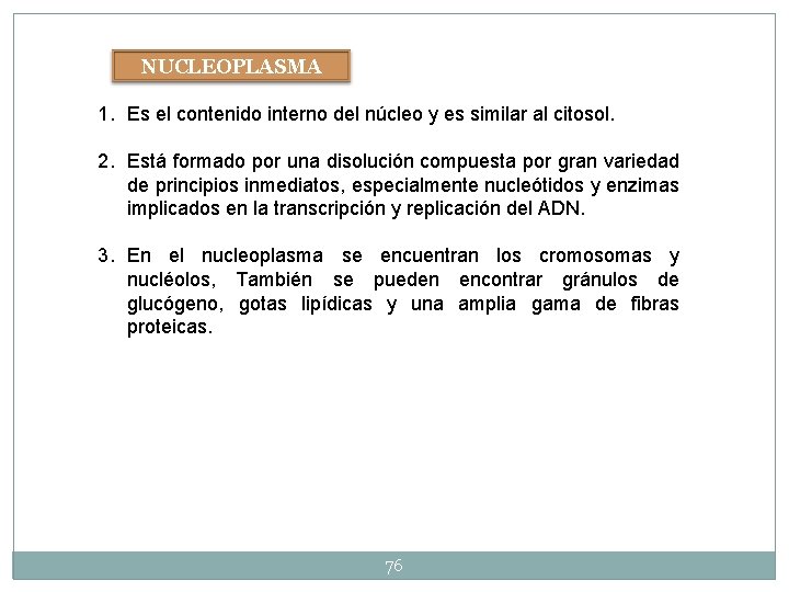 NUCLEOPLASMA 1. Es el contenido interno del núcleo y es similar al citosol. 2. NUCLEOPLASMA 1. Es el contenido interno del núcleo y es similar al citosol. 2.