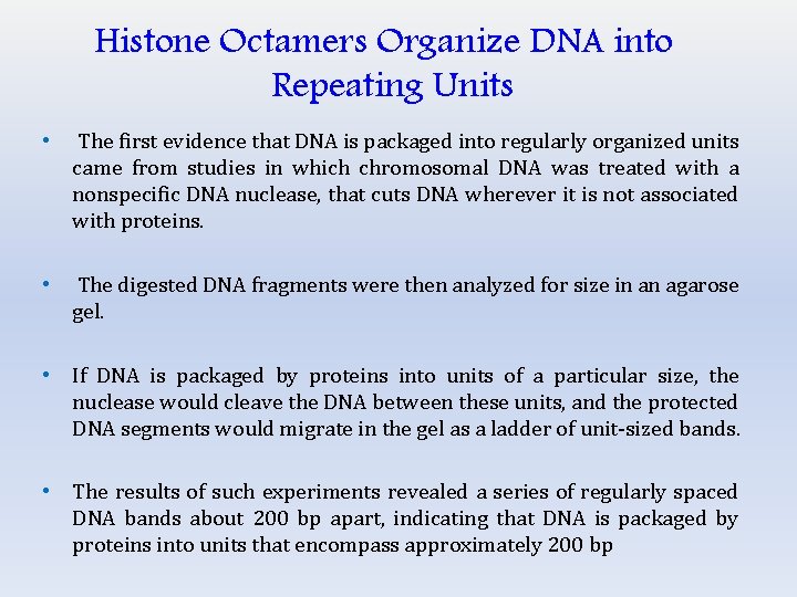 Histone Octamers Organize DNA into Repeating Units • The first evidence that DNA is