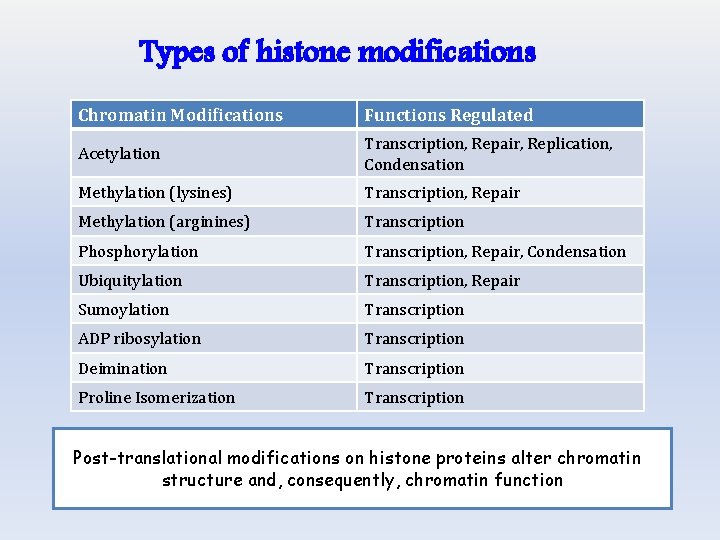 Types of histone modifications Chromatin Modifications Functions Regulated Acetylation Transcription, Repair, Replication, Condensation Methylation