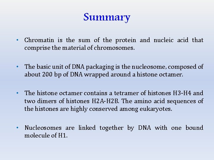 Summary • Chromatin is the sum of the protein and nucleic acid that comprise