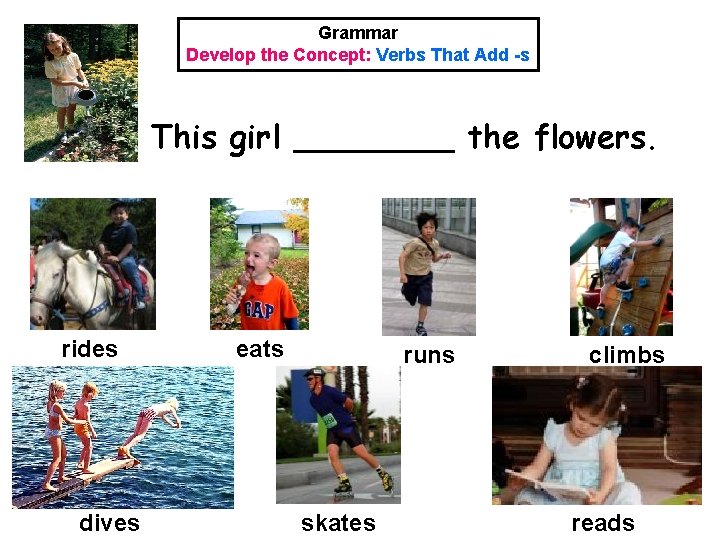 Grammar Develop the Concept: Verbs That Add -s This girl ____ the flowers. rides