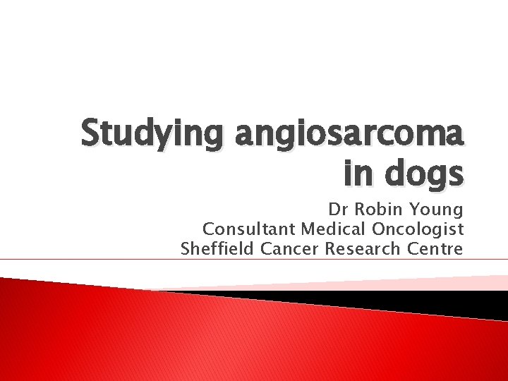Studying angiosarcoma in dogs Dr Robin Young Consultant Medical Oncologist Sheffield Cancer Research Centre