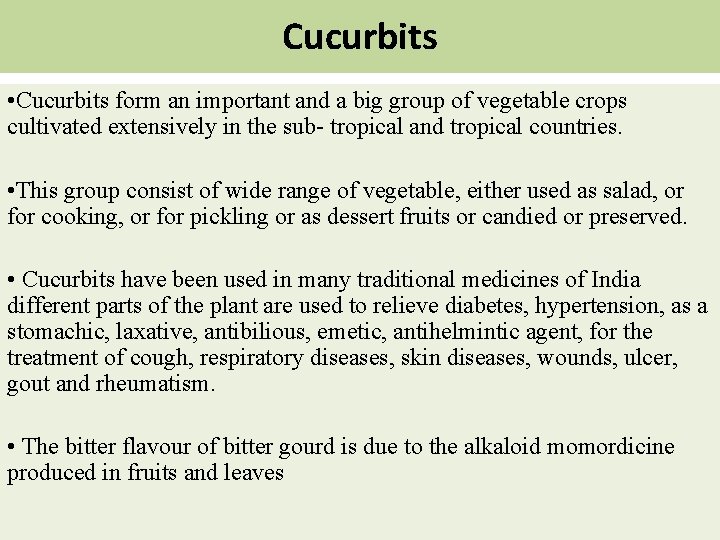 Cucurbits • Cucurbits form an important and a big group of vegetable crops cultivated