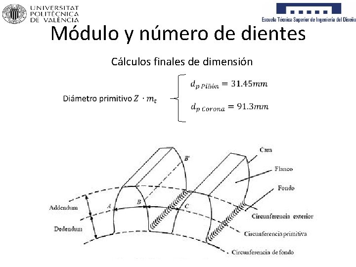 Módulo y número de dientes Cálculos finales de dimensión 