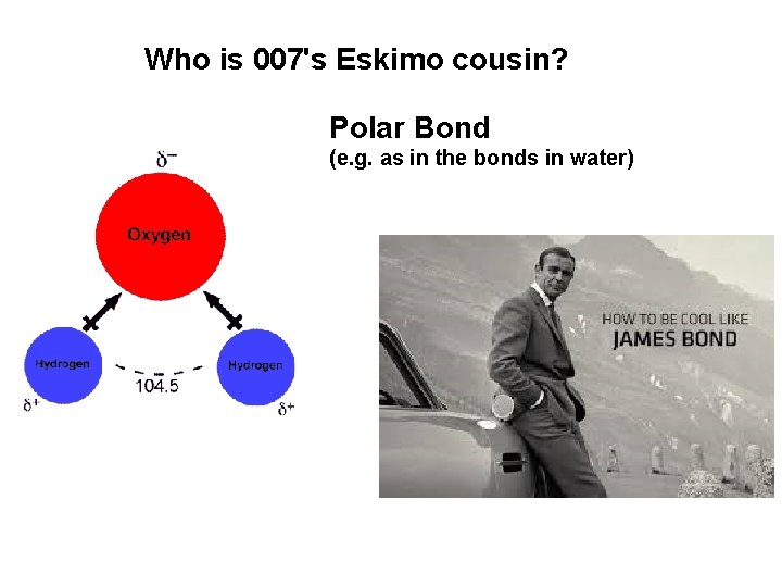 Who is 007's Eskimo cousin? Polar Bond (e. g. as in the bonds in Who is 007's Eskimo cousin? Polar Bond (e. g. as in the bonds in