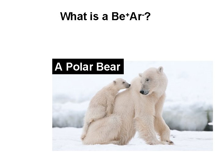 What is a Be+Ar-? A Polar Bear What is a Be+Ar-? A Polar Bear