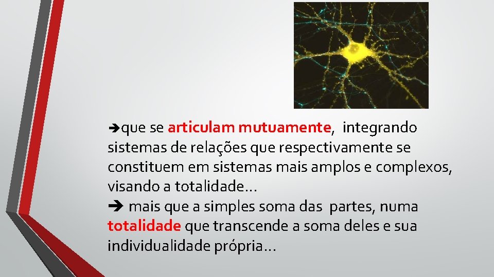 que se articulam mutuamente, integrando sistemas de relações que respectivamente se constituem em que se articulam mutuamente, integrando sistemas de relações que respectivamente se constituem em