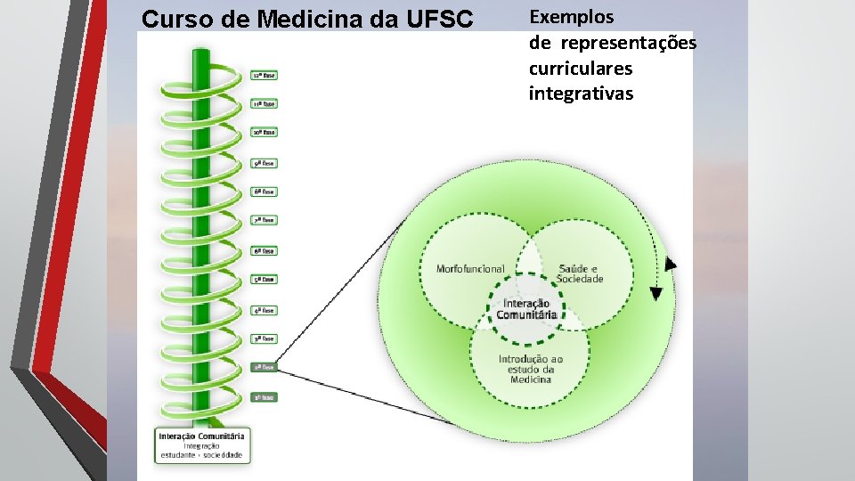 Curso de Medicina da UFSC Exemplos de representações curriculares integrativas Curso de Medicina da UFSC Exemplos de representações curriculares integrativas