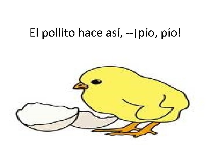 El pollito hace así, --¡pío, pío! 