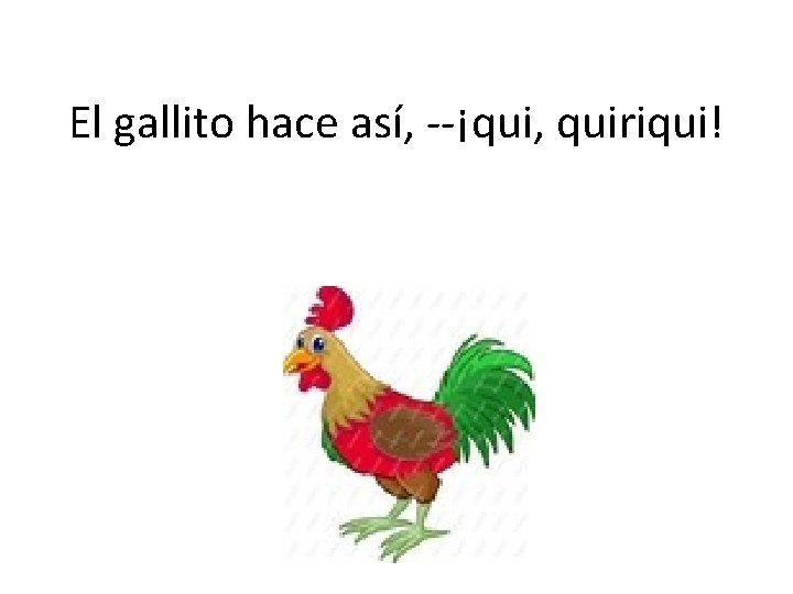 El gallito hace así, --¡qui, quiriqui! 