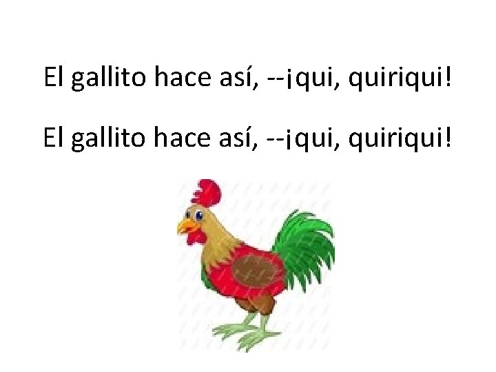 El gallito hace así, --¡qui, quiriqui! 