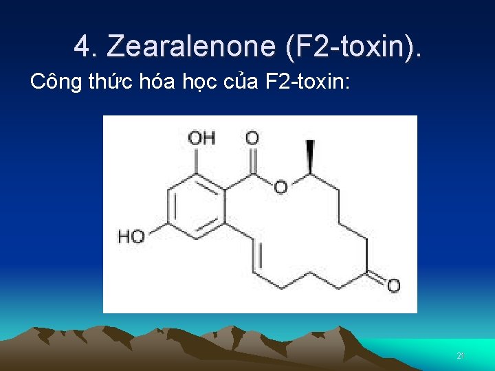 4. Zearalenone (F 2 -toxin). Công thức hóa học của F 2 -toxin: 21