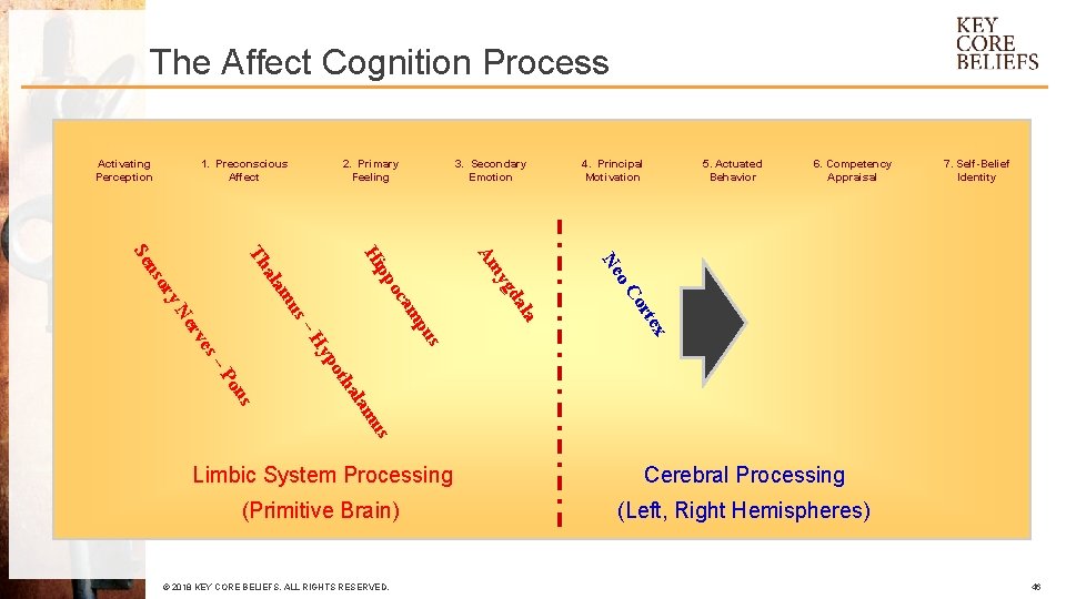 The Affect Cognition Process 2. Primary Feeling 5. Actuated Behavior 6. Competency Appraisal 7.