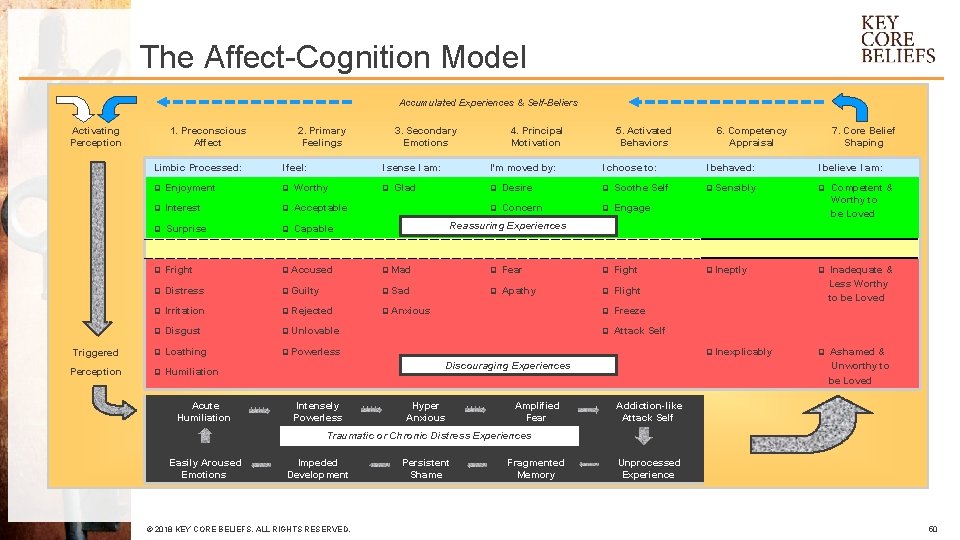 The Affect-Cognition Model Accumulated Experiences & Self-Beliers Activating Perception 1. Preconscious Affect Limbic Processed: