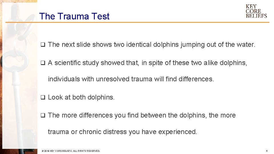 The Trauma Test q The next slide shows two identical dolphins jumping out of