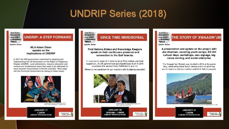 UNDRIP Series (2018) 