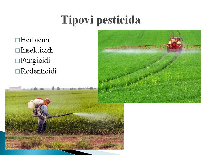 Tipovi pesticida � Herbicidi � Insekticidi � Fungicidi � Rodenticidi 