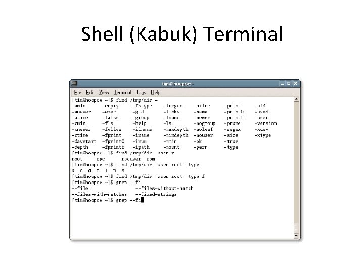 Shell (Kabuk) Terminal 