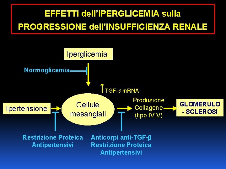 EFFETTI dell’IPERGLICEMIA sulla PROGRESSIONE dell’INSUFFICIENZA RENALE Iperglicemia Normoglicemia TGF- m. RNA Ipertensione Cellule mesangiali