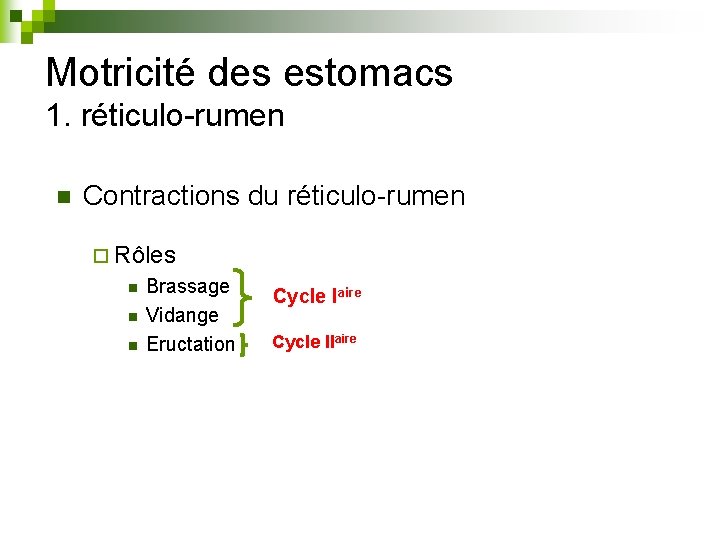 Motricité des estomacs 1. réticulo-rumen n Contractions du réticulo-rumen ¨ Rôles n n n